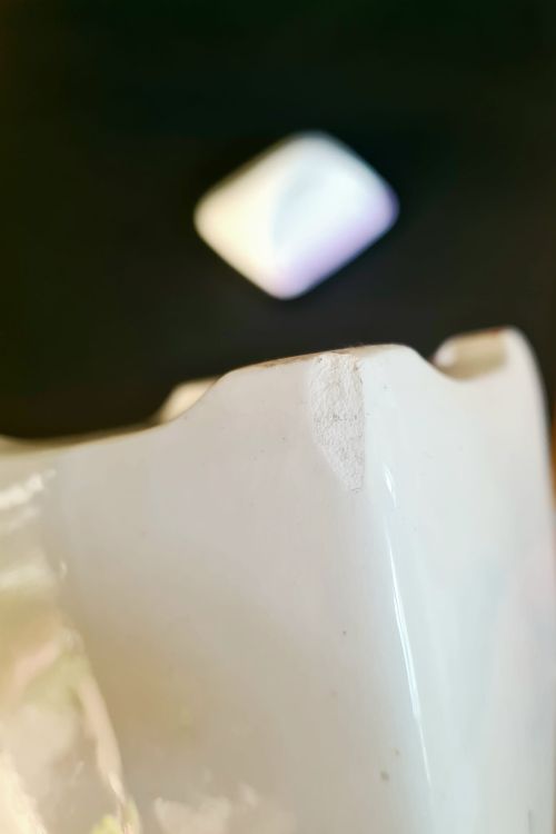20240824_130456(1).jpg