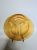 20241212_105207.jpg
