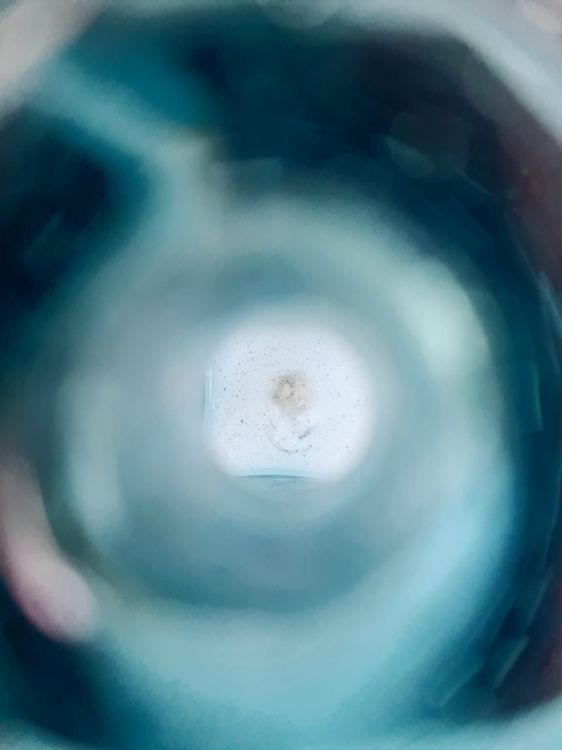 20251009_160408.jpg