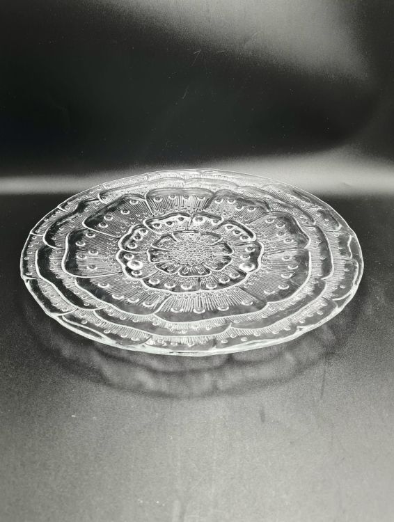 20250728_124212.jpg