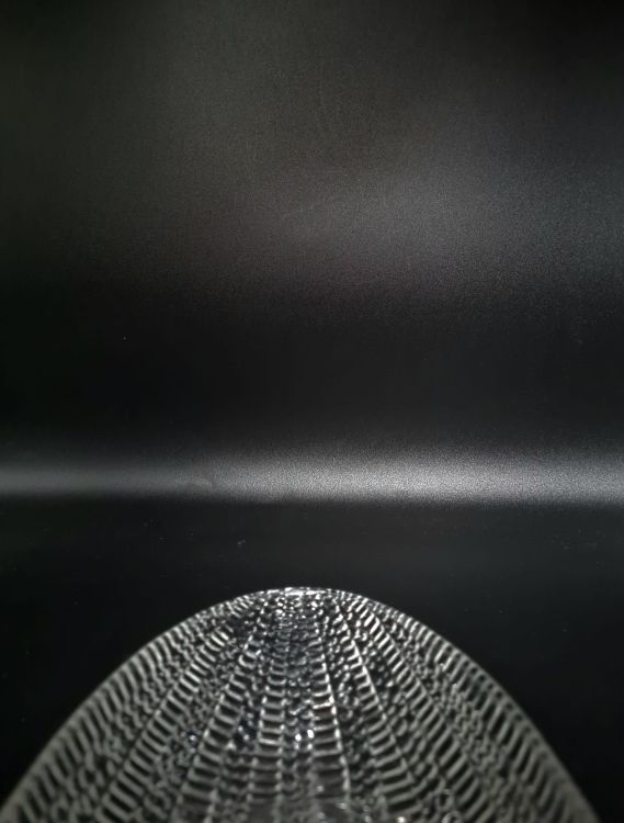 20241105_121058.jpg