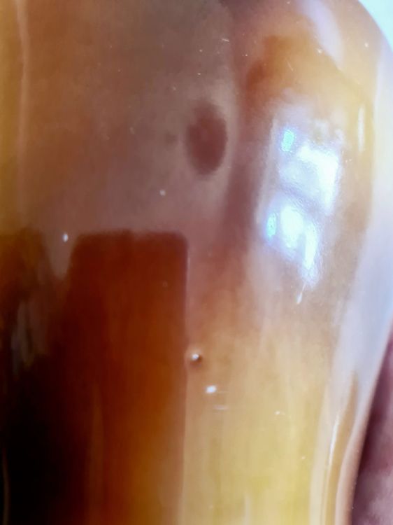 20260219_123330.jpg