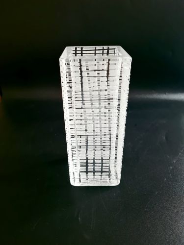 20260217_141756.jpg