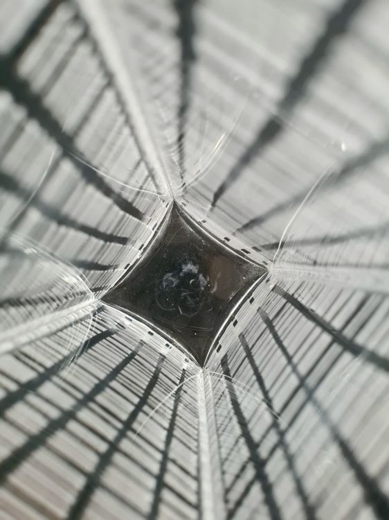 20260217_142028.jpg