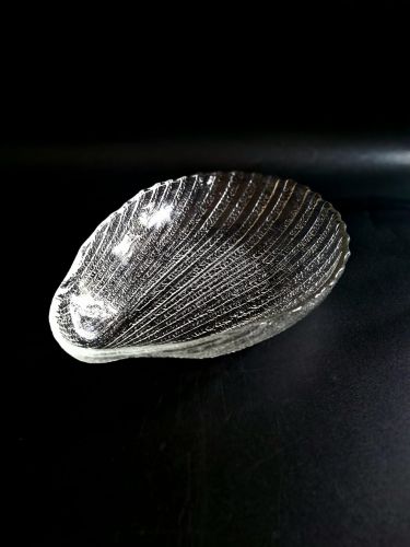 20260213_120508.jpg