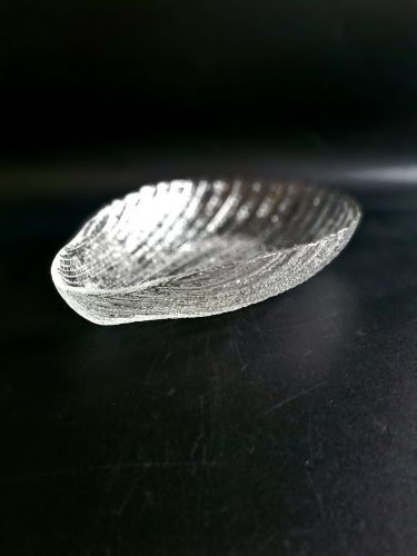 20260213_120510.jpg