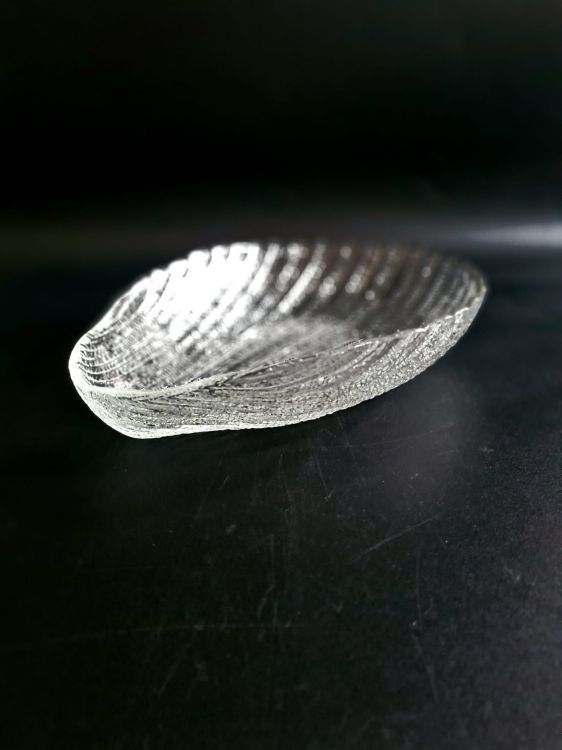 20260213_120510.jpg