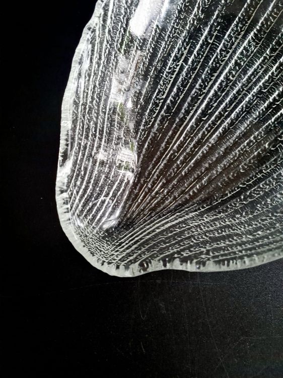 20260213_120518.jpg