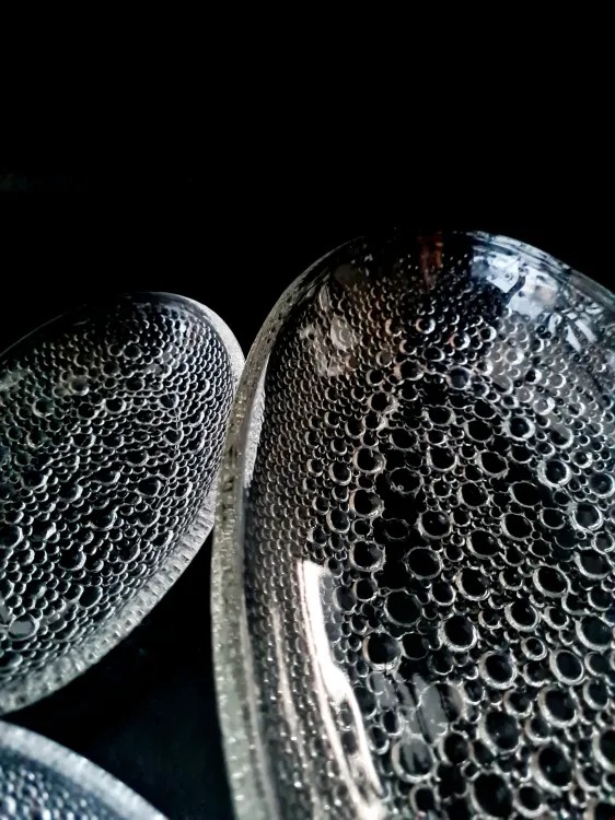 20260510_204940.jpg