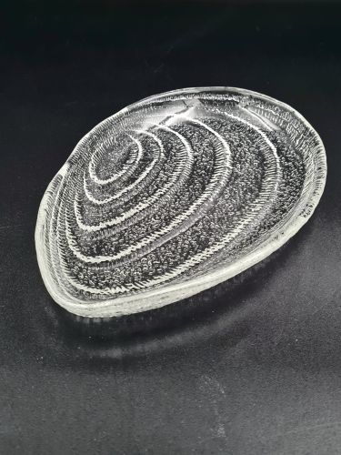 20251110_121928.jpg