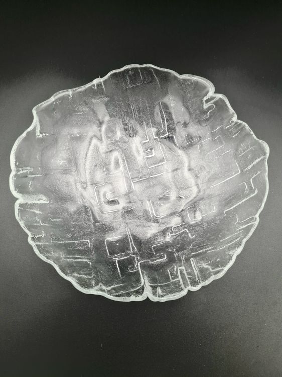20240702_135237.jpg