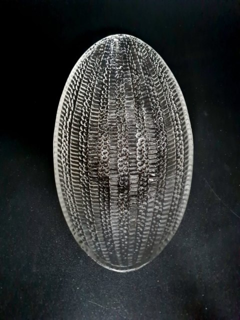 Gondola Kukurydza Jan Sylwester Drost 1961 - HSG Ząbkowice