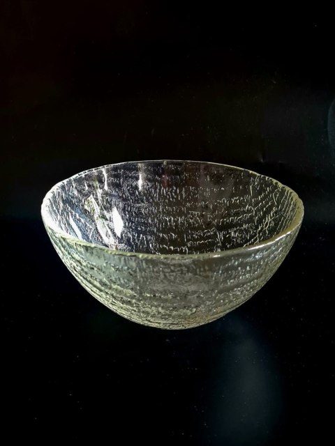 Igloo, E. Trzewik - Drost, bezbarwna miska średnia 22 cm;
