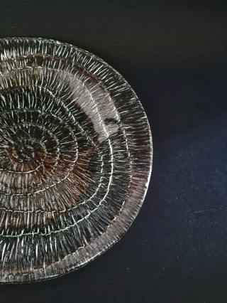 Patera Skamielina / Amonit E. Trzewik - Drost HSG Ząbkowice 25 cm