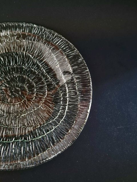 Patera Skamielina / Amonit E. Trzewik - Drost HSG Ząbkowice 25 cm
