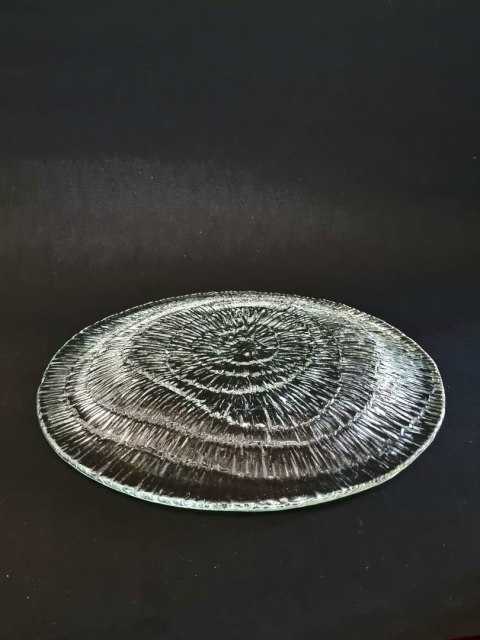 Patera Skamielina / Amonit E. Trzewik - Drost HSG Ząbkowice 25 cm