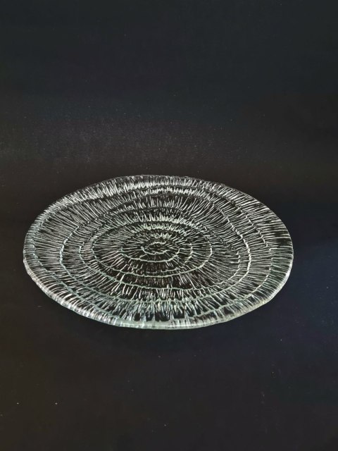 Patera Skamielina / Amonit E. Trzewik - Drost HSG Ząbkowice 25 cm