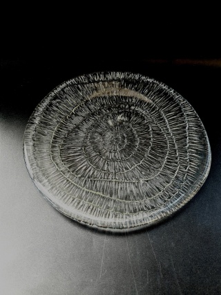 Patera Skamielina / Amonit E. Trzewik - Drost HSG Ząbkowice 25 cm