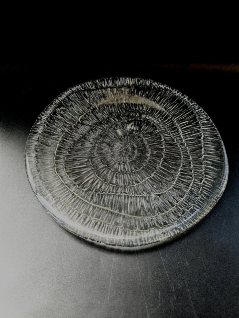 Patera Skamielina / Amonit E. Trzewik - Drost HSG Ząbkowice 25 cm