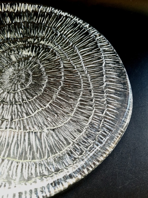 Patera Skamielina / Amonit E. Trzewik - Drost HSG Ząbkowice 25 cm
